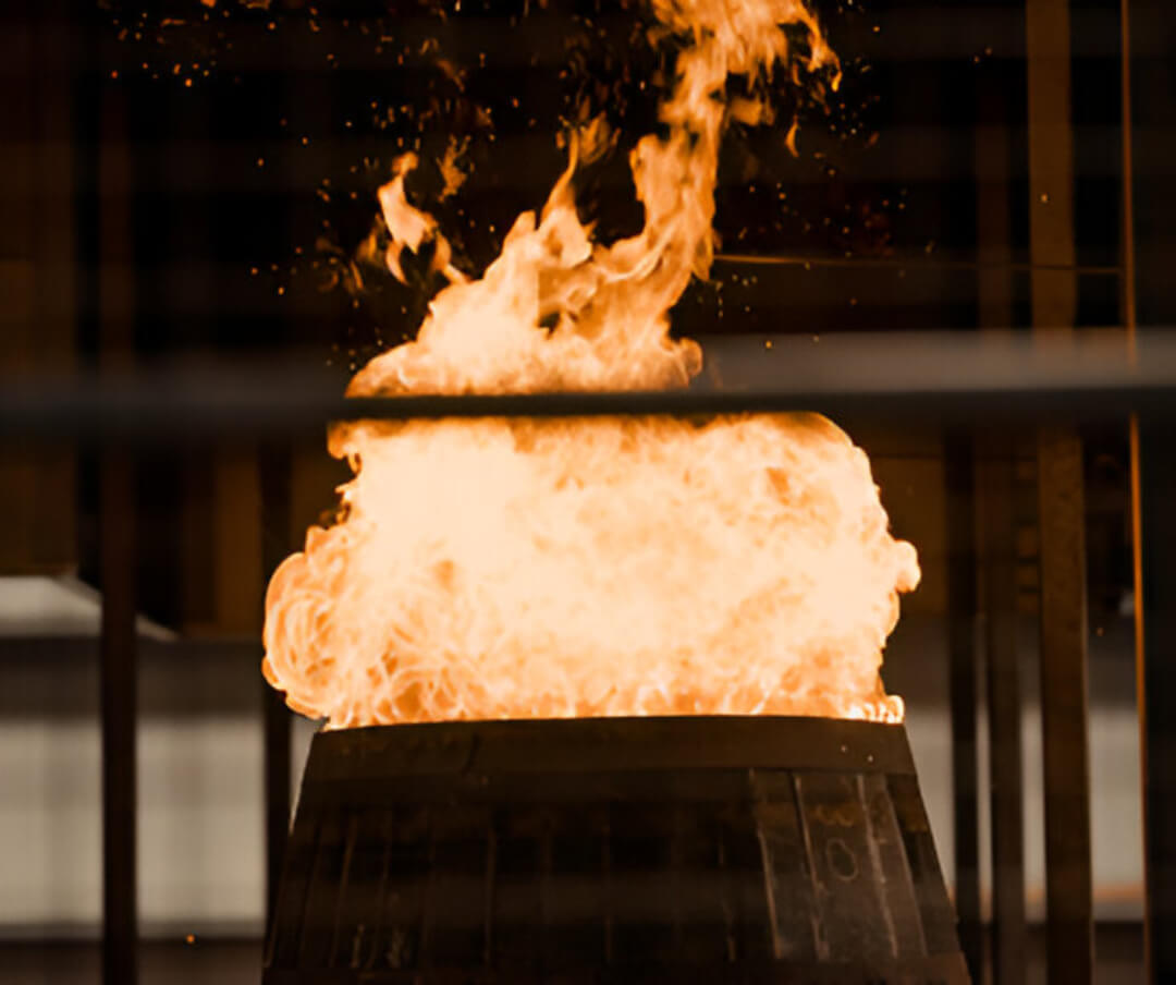 Image_securitycarousel3a